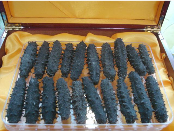 影响大连海参价钱的主要因素有：首先是个体大小，一般个体越大说明参龄越长